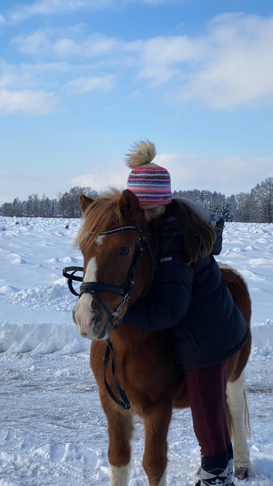 Pony