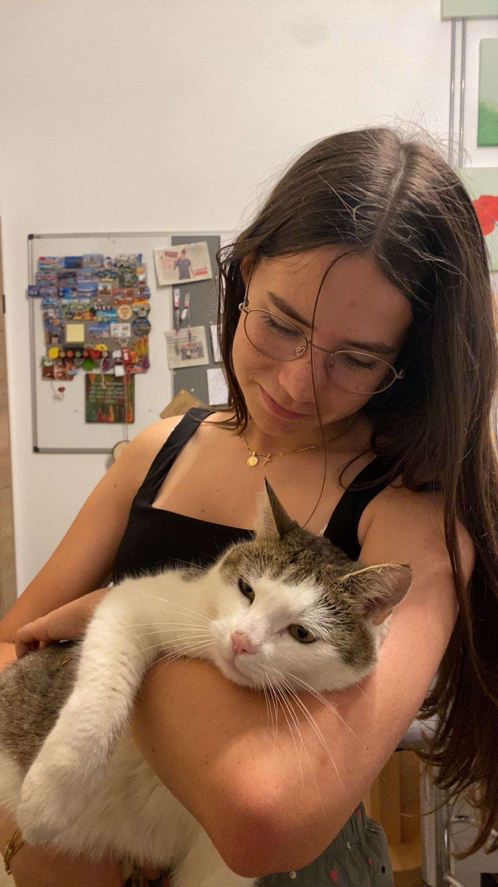 Katze